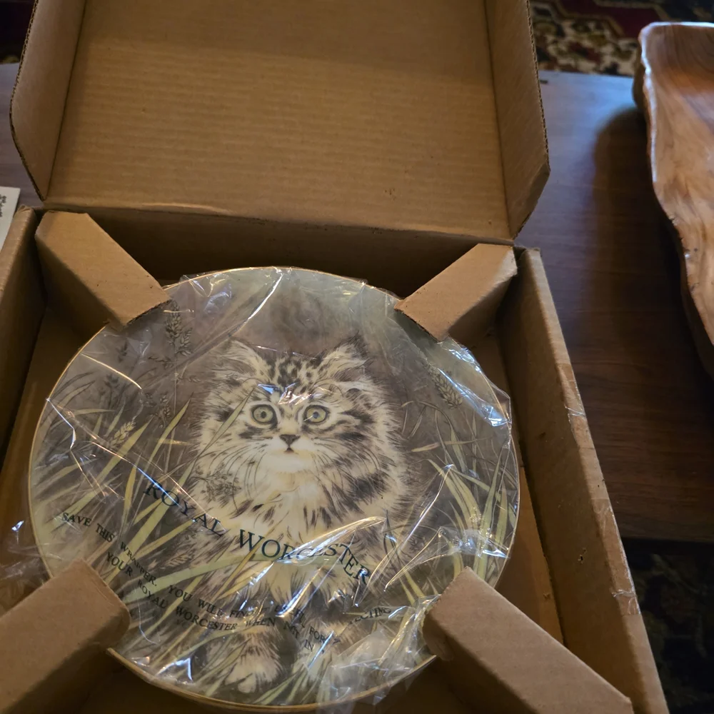 Royal Worcester Cat Design Plate with Gold Rim